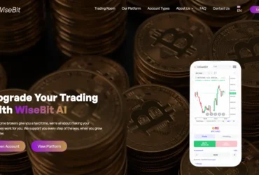 Wisebit Review