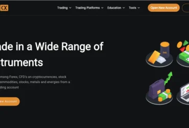 Dizicx Review