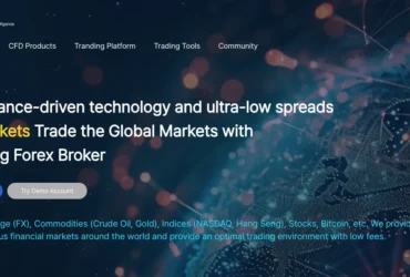 Wti Markets Review