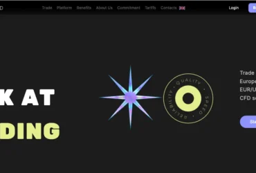StgBid Review